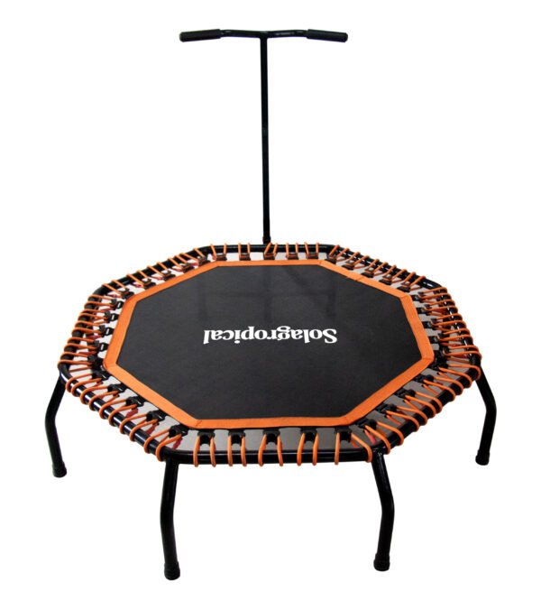 New Popularity Professional Colorful Gym Exercise Workout Trampoline Fitness for Adults Mini Indoor Trampoline Kids for Sales
